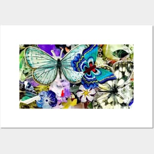 Butterflies Posters and Art